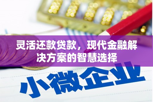 安定灵活还款贷款，现代金融解决方案的智慧选择