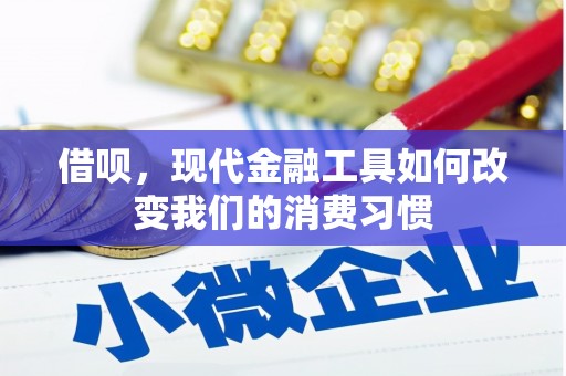 安定借呗，现代金融工具如何改变我们的消费习惯