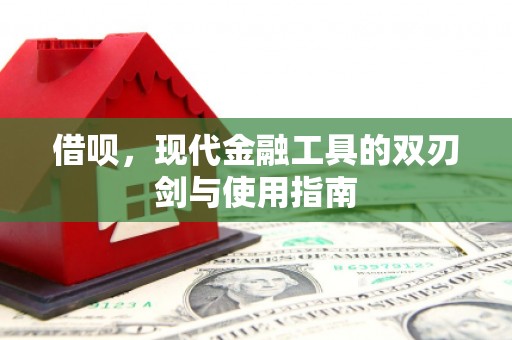 安定借呗，现代金融工具的双刃剑与使用指南