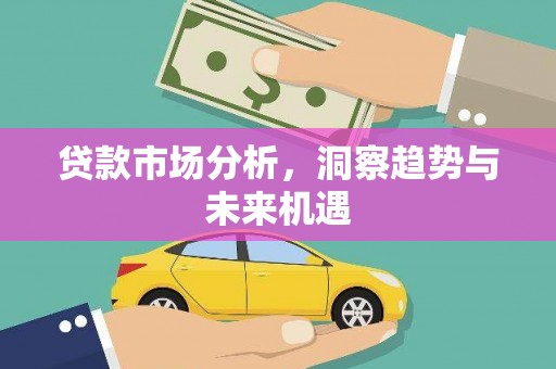 安定贷款市场分析，洞察趋势与未来机遇
