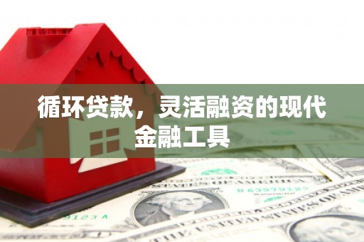 安定循环贷款，灵活融资的现代金融工具