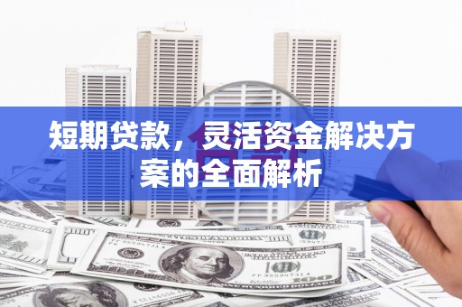 安定短期贷款，灵活资金解决方案的全面解析