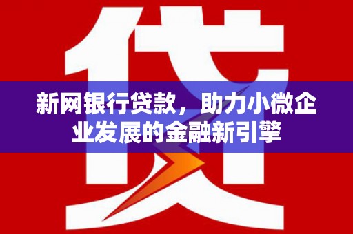 安定新网银行贷款，助力小微企业发展的金融新引擎