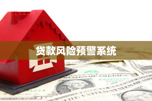 安定贷款风险预警系统