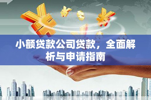 安定小额贷款公司贷款，全面解析与申请指南