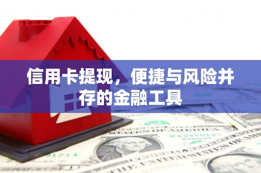 安定信用卡提现，便捷与风险并存的金融工具