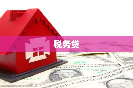 安定税务贷