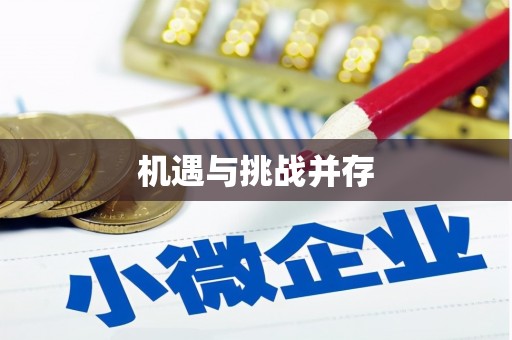 安定机遇与挑战并存