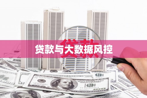 安定贷款与大数据风控