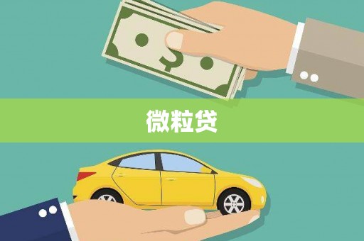 安定微粒贷