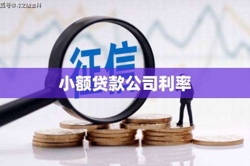 安定小额贷款公司利率