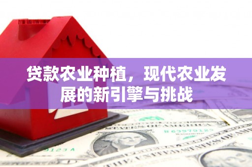 安定贷款农业种植，现代农业发展的新引擎与挑战