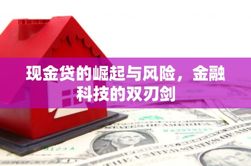 安定现金贷的崛起与风险，金融科技的双刃剑