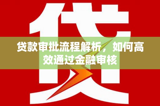 安定贷款审批流程解析，如何高效通过金融审核