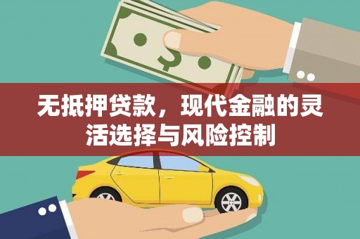 安定无抵押贷款，现代金融的灵活选择与风险控制