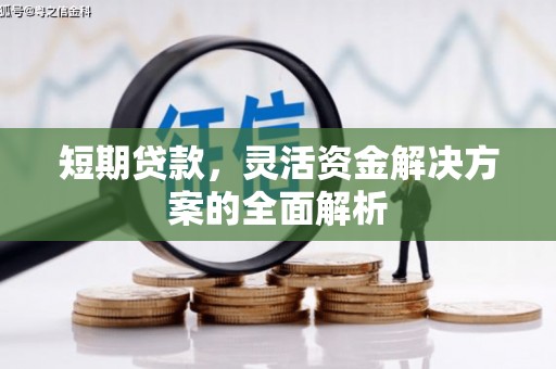 安定短期贷款，灵活资金解决方案的全面解析