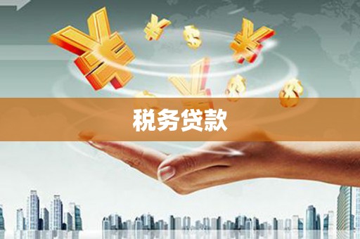 安定税务贷款