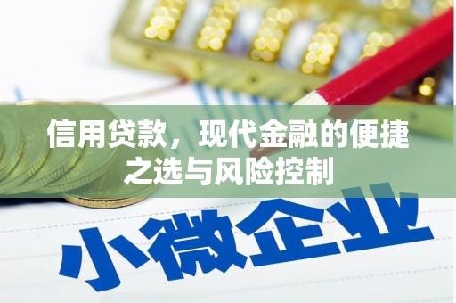安定信用贷款，现代金融的便捷之选与风险控制