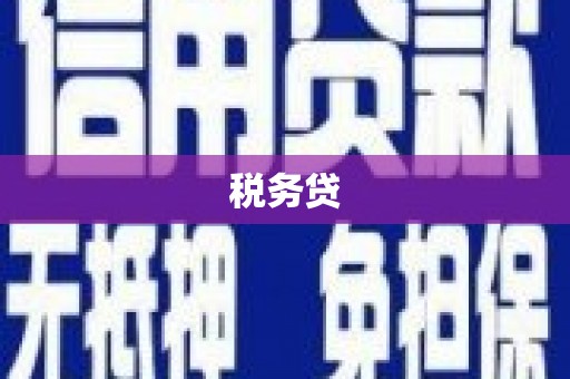 安定税务贷
