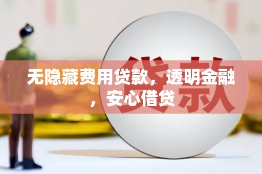 安定无隐藏费用贷款，透明金融，安心借贷
