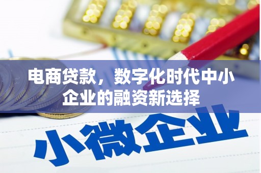 安定电商贷款，数字化时代中小企业的融资新选择