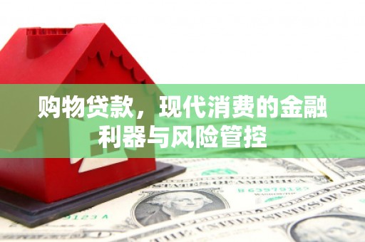 安定购物贷款，现代消费的金融利器与风险管控