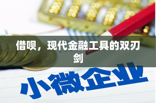 安定借呗，现代金融工具的双刃剑