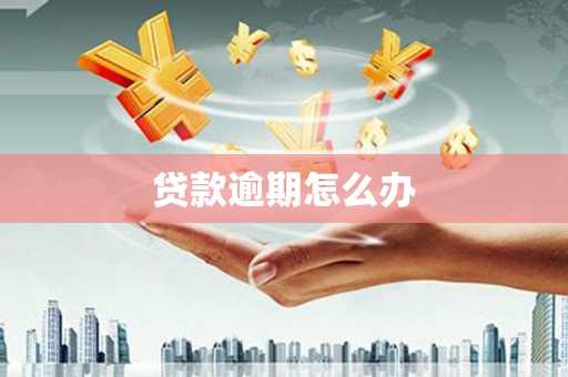 安定贷款逾期怎么办