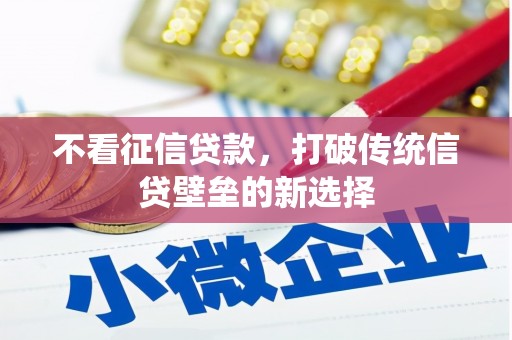 安定不看征信贷款，打破传统信贷壁垒的新选择