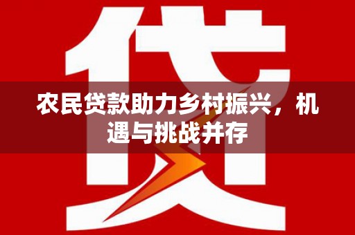 安定农民贷款助力乡村振兴，机遇与挑战并存