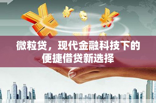 安定微粒贷，现代金融科技下的便捷借贷新选择