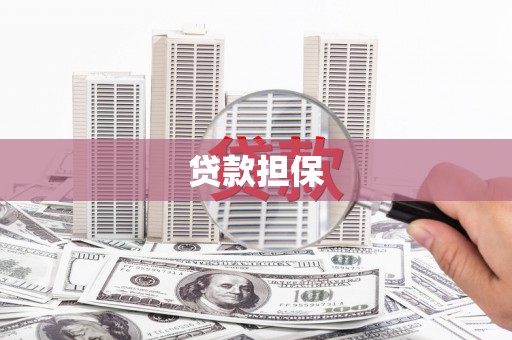 安定贷款担保