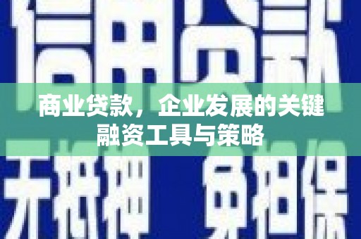 安定商业贷款，企业发展的关键融资工具与策略