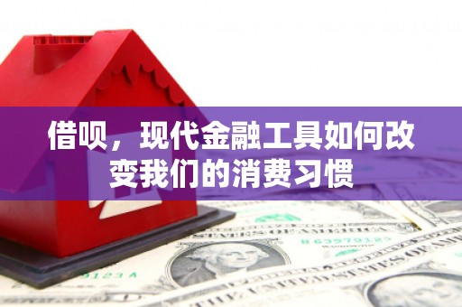 安定借呗，现代金融工具如何改变我们的消费习惯