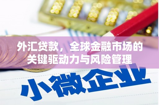 安定外汇贷款，全球金融市场的关键驱动力与风险管理