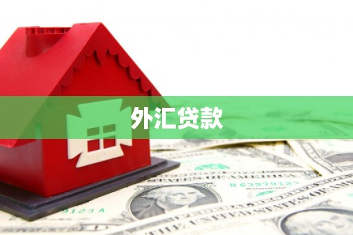 安定外汇贷款
