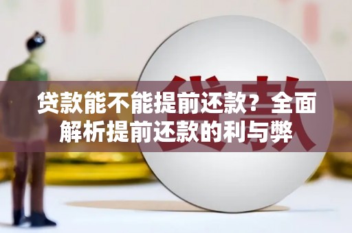 安定贷款能不能提前还款？全面解析提前还款的利与弊