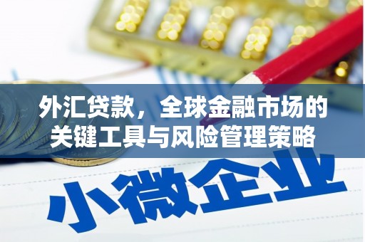 安定外汇贷款，全球金融市场的关键工具与风险管理策略