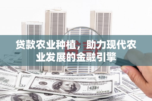 安定贷款农业种植，助力现代农业发展的金融引擎