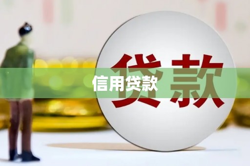 安定信用贷款