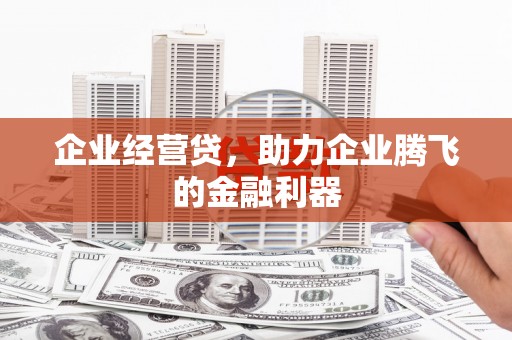 安定企业经营贷，助力企业腾飞的金融利器