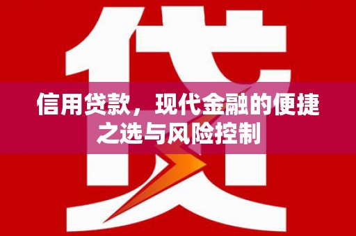 安定信用贷款，现代金融的便捷之选与风险控制