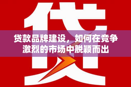 安定贷款品牌建设，如何在竞争激烈的市场中脱颖而出