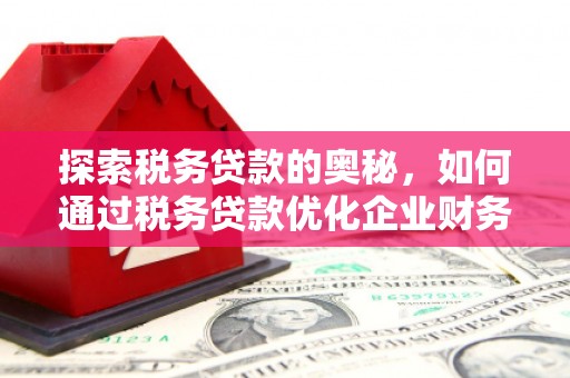 安定探索税务贷款的奥秘，如何通过税务贷款优化企业财务