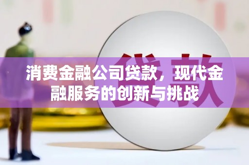 安定消费金融公司贷款，现代金融服务的创新与挑战