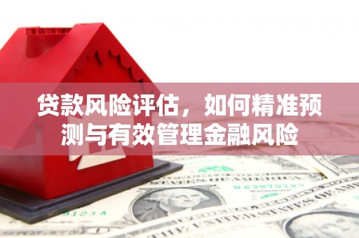 安定贷款风险评估，如何精准预测与有效管理金融风险