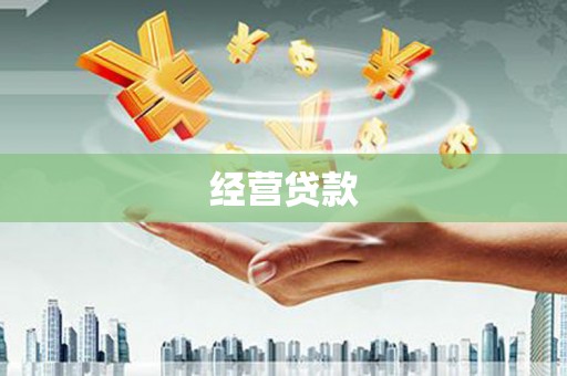 安定经营贷款
