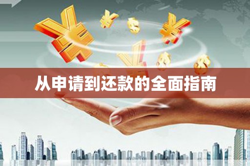 安定从申请到还款的全面指南