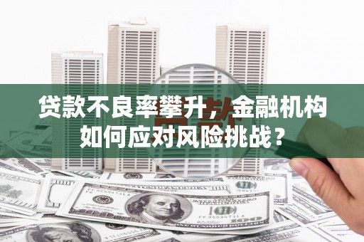 安定贷款不良率攀升，金融机构如何应对风险挑战？
