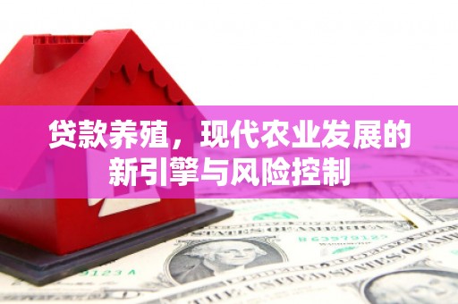 安定贷款养殖，现代农业发展的新引擎与风险控制